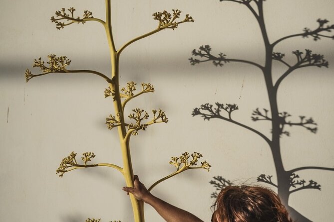 Workshop with the Desert Craftsman in Almería - Reviews Highlighting the Experience