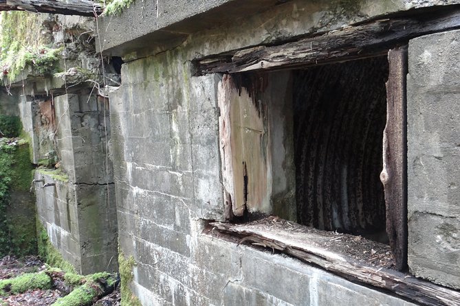 World War 1 Walk Through Trenches and Bunkers - Who Will Appreciate This Tour Most?