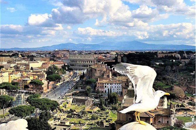 WOW Tour: Coliseum, Vatican, Squares, Luxury Car, Tickets, Lunch - Explore Rome’s Iconic Landmarks with Ease