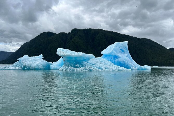 Wrangell Alaska Marine Sightseeing Tour - Navigating the Scenic Route to LeConte Glacier