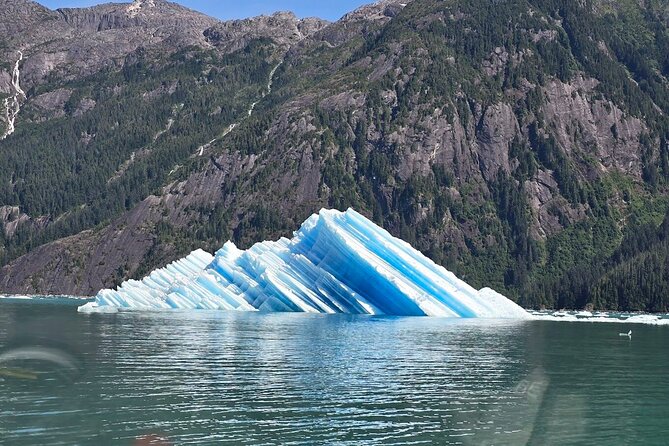 Wrangell Alaska Marine Sightseeing Tour - The Charm of Wrangell Before and After the Tour