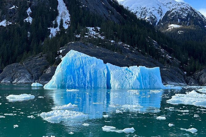 Wrangell Alaska Marine Sightseeing Tour - Comparing with Similar Arctic and Glacier Tours