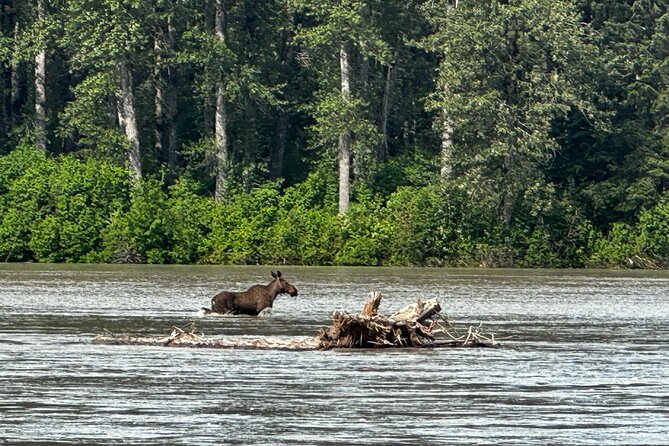 Wrangell E-Bike and Hike Adventure - Included Snacks and Water for a Balanced Outing