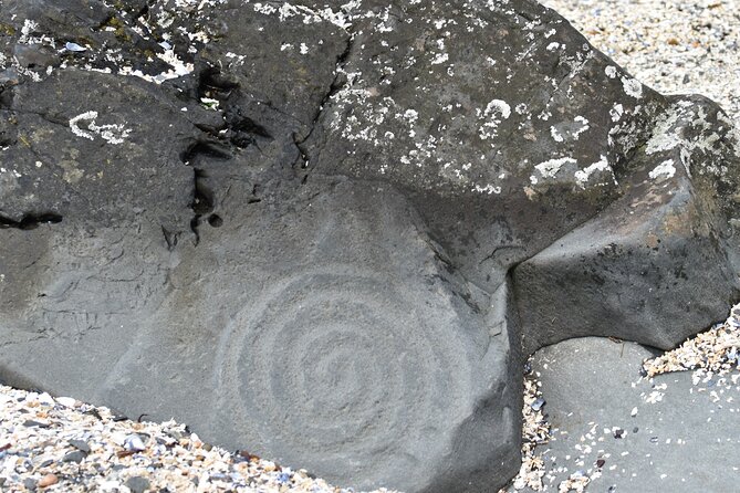 Wrangell E-Bike and Hike Adventure - Meeting Point and Easy Access