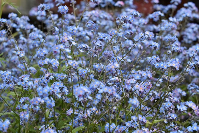 Wrangell E-Bike and Hike Adventure - Physical Fitness and Suitability