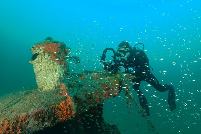 Wreck and Bridge Span Dive for Certified Divers - Equipment and Safety Protocols