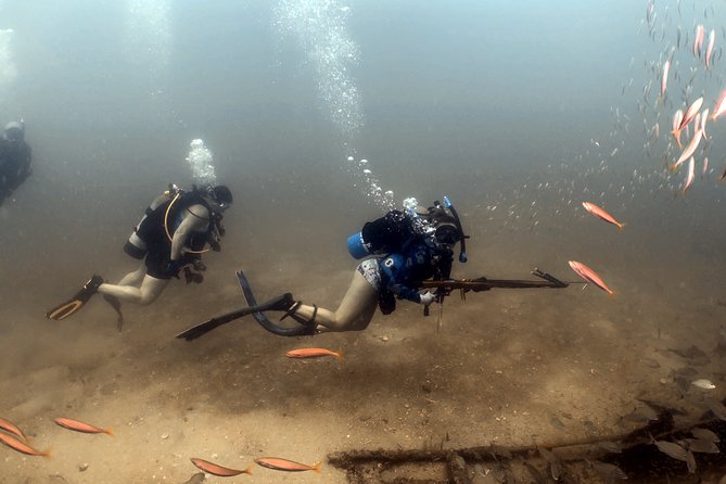 Wreck and Bridge Span Dive for Certified Divers - Food and Refreshments on the Dive Day