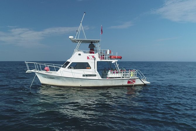 Wreck and Bridge Span Dive for Certified Divers - Booking, Cancellation, and Group Size