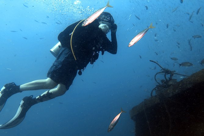 Wreck and Bridge Span Dive for Certified Divers - What Sets This Dive Apart from Others