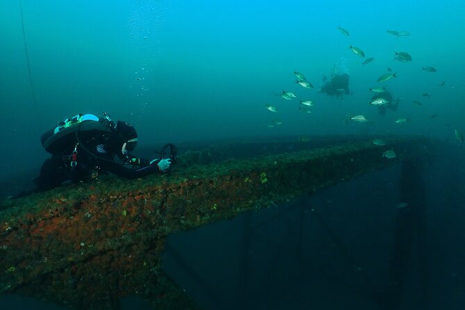 Wreck and Bridge Span Dive for Certified Divers - Who Will Enjoy This Tour Most
