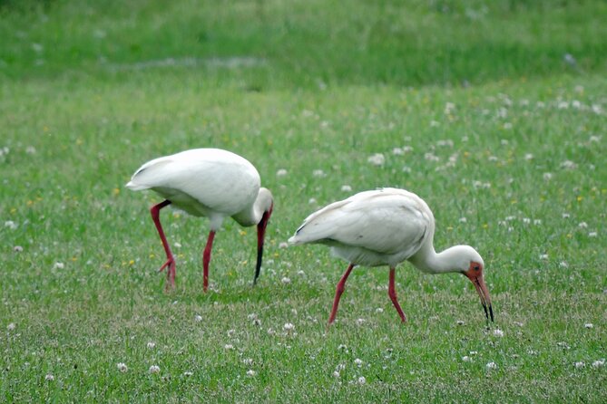 Wright Brothers Carolina Dunes Self-Guided Driving Audio Tour - Key Points