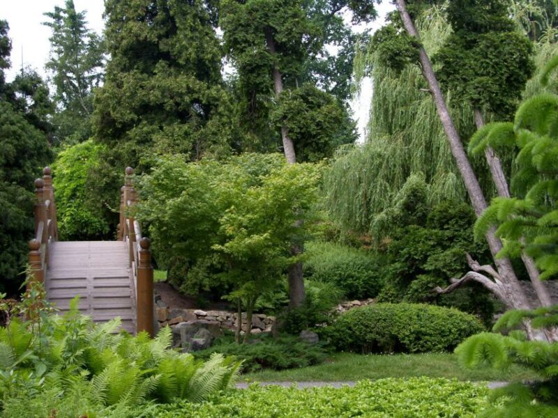 Wrocaw: 3-Hour Steamboat Tour with Centennial Hall UNESCO - Relaxing Break at Restauracja Pergola