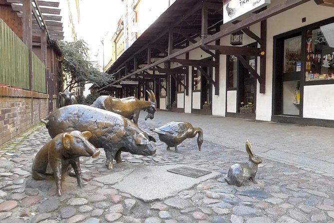 Wroclaw Old Town Private Tour - Practical Details: Easy Meeting and Ending Points