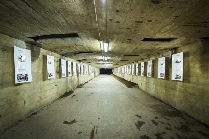 Wroclaw: Project Riese and Ksiaz Castle Private Tour - What to Expect at Each Stop