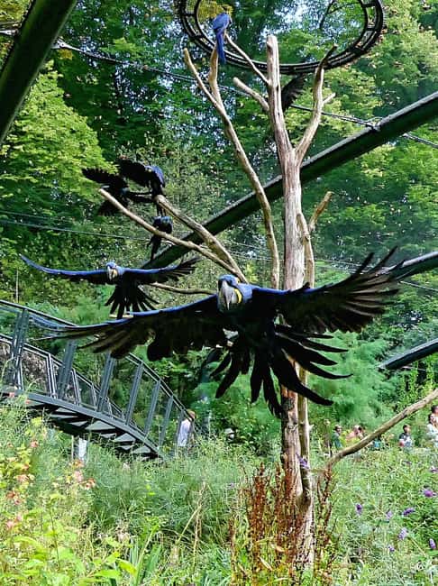 Wuppertal: Admission to the Green Zoo Wuppertal - Visitor Feedback and Practical Tips