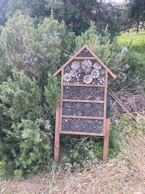 WWF E-BIKE TOUR | Riserva Naturale di Torre Salsa Con pranzo - Why Choose This E-Bike Tour in Torre Salsa?