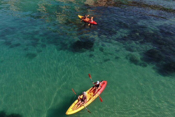 WWF Kayak Tour from Cala Manbrù to Torre Salsa Reserve - The Guides and Their Knowledge