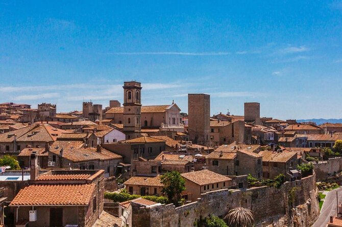 WWII Anzio and Surroundings Veteran Private Tour - Customization and Additional Options