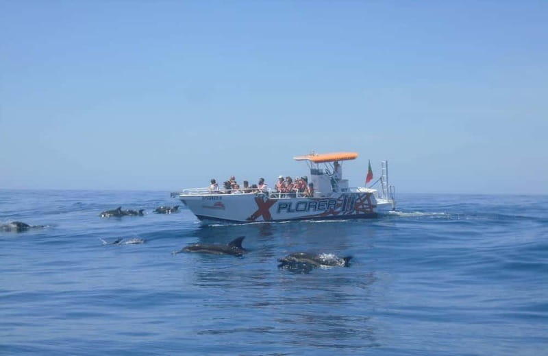 X Plorer  Caves (Benagil) & Dolphins Cruise - Explore the Algarve Coast with the X Plorer Caves & Dolphins Cruise