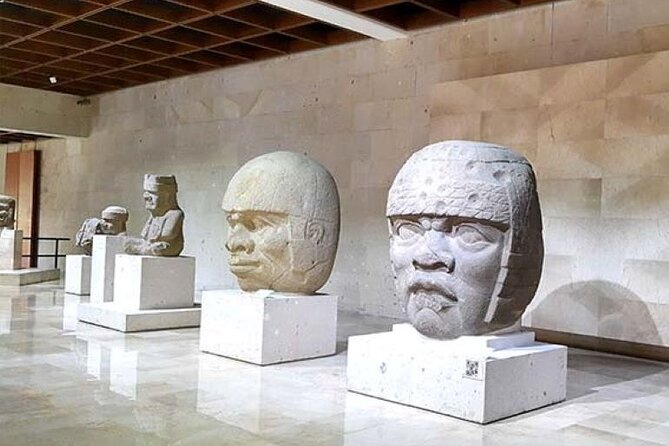 Xalapa and its aroma of coffee. Fall in love! - Exploring the Coffee Museum and Coffee Plantations