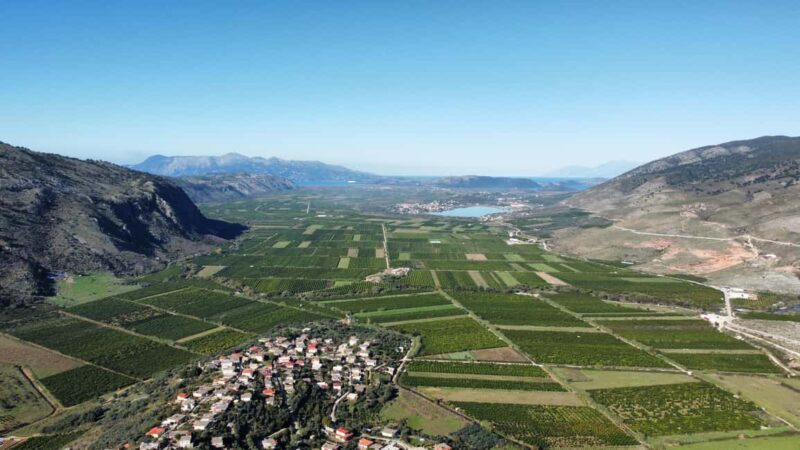 Xarrë: Mandarin Farming Tour with Traditional Cooking Lunch - What Sets This Tour Apart from Others