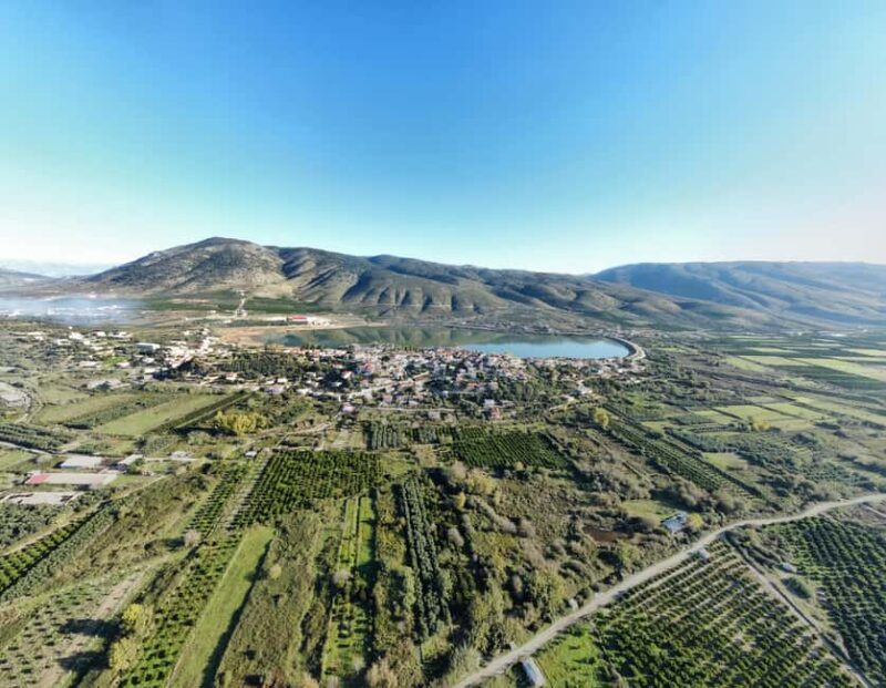 Xarrë: Mandarin Farming Tour with Traditional Cooking Lunch - Suitability and Limitations of the Mandarina Tour