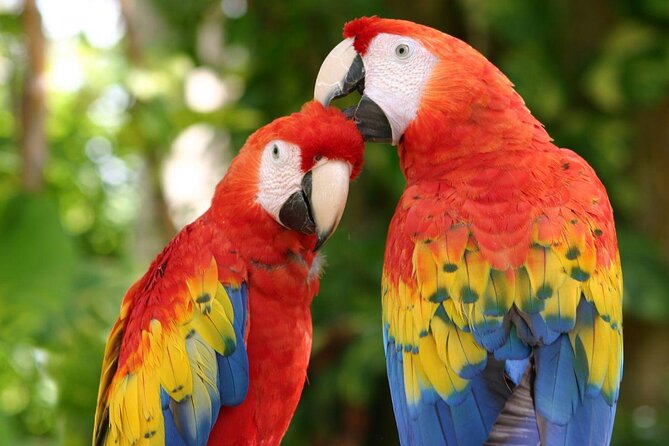 Xcaret Eco Archaeological Park Tour - Key Points