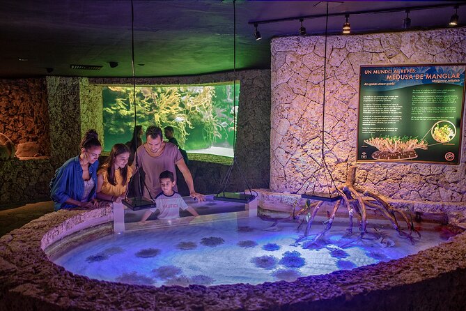 Xcaret Park Day Trip, transportation and Cultural Night Show - Key Points