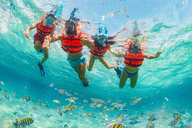 Xcaret Park Day Trip, transportation and Cultural Night Show - Optional Activities and Upgrades at Xcaret