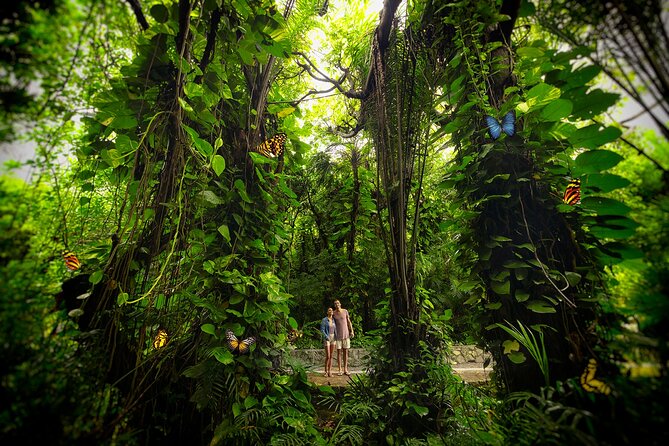 Xcaret Park Entry Tickets with Cultural Night Show Included - How to Reach Xcaret Park from Playa del Carmen