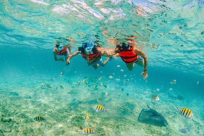 Xcaret Park Entry Tickets with Cultural Night Show Included - Exploring the Major Attractions Inside Xcaret