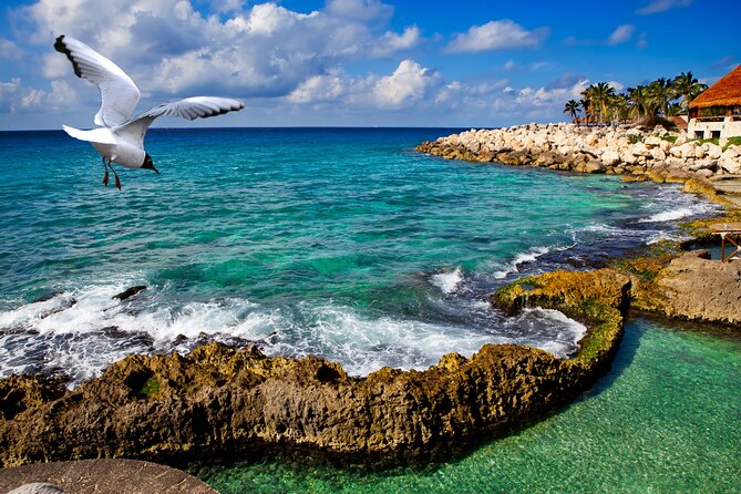 Xcaret Park Plus Tour! Nature, Culture and Nightshow from Cancun - Cultural and Artistic Exhibits at Xcaret