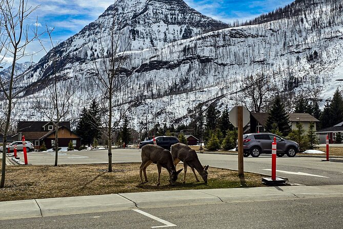 Xclusive Wonders of Waterton Your Private Journey of NaturesBest - Key Points