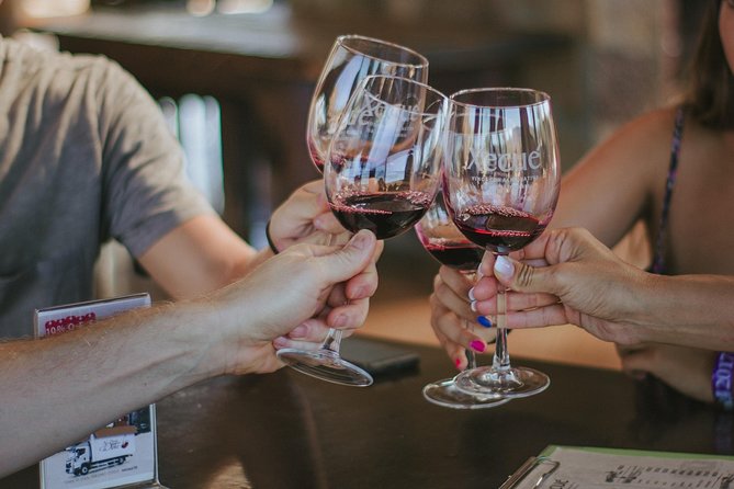 Xecue Wine Tasting in the Guadalupe Valley - The Tasting Room and Vineyard Views