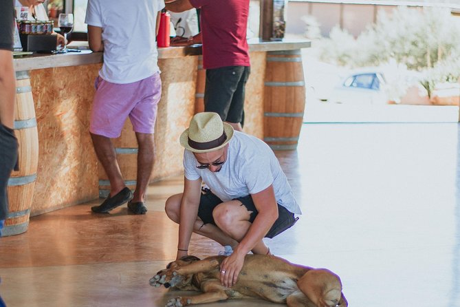 Xecue Wine Tasting in the Guadalupe Valley - Meeting Point and Accessibility