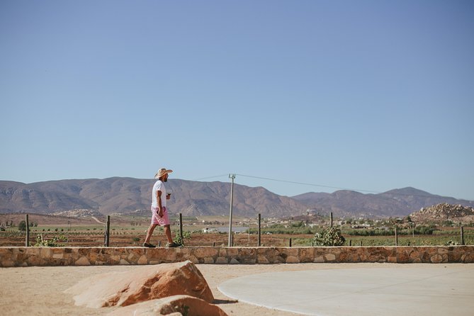 Xecue Wine Tasting in the Guadalupe Valley - Booking and Cancellation Policies