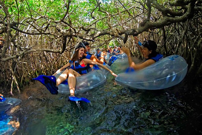 Xel ha All Inclusive - Who Will Enjoy This Tour Most?