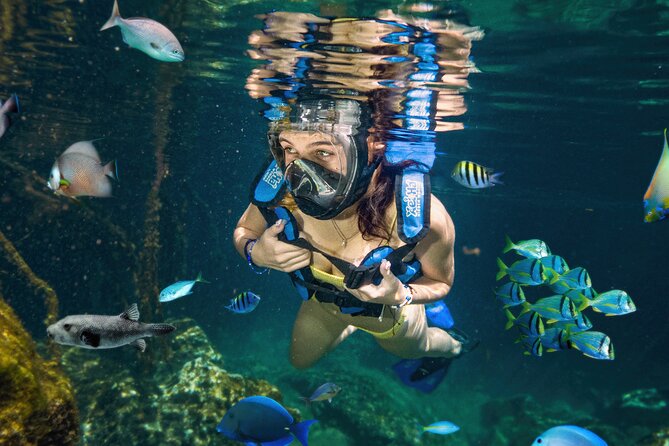 Xel-Ha Tickets with Transportation included - Key Points