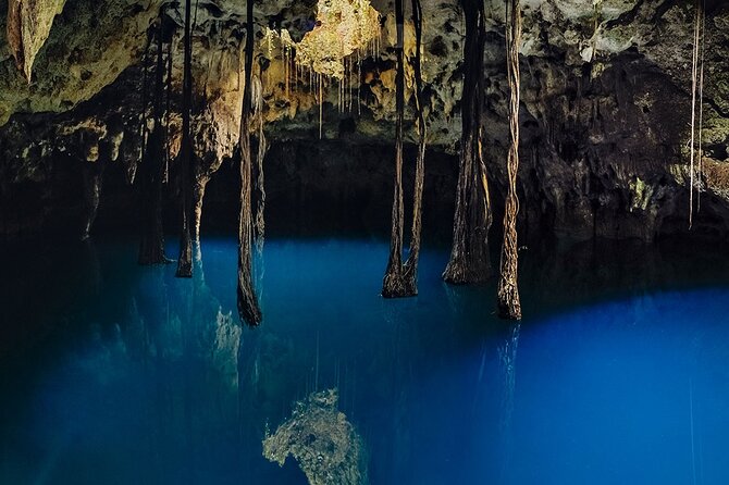 Xenotes - Food and Drinks During the Tour