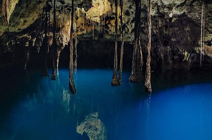 Xenotes - Why Choose Xenotes for Your Cancun Adventure