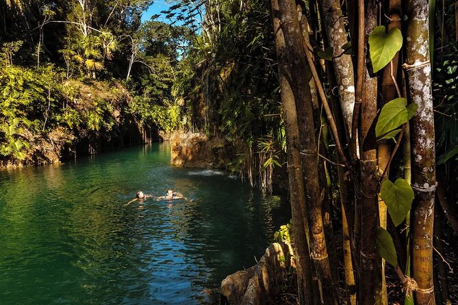 Xenotes Xcaret 4 Cenotes Adventure - The Gastronomic Experience: Jungle Picnic and Snacks