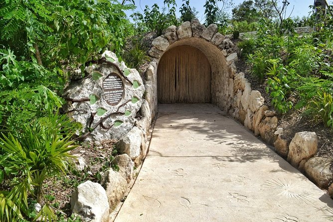 Xenses, Amazing Park! Round Transportation From Cancun & Riviera Maya - What Activities Are Included at Xenses?