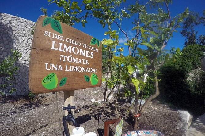 Xenses, Amazing Park! Round Transportation From Cancun & Riviera Maya - What’s Not Included in the Tour Price