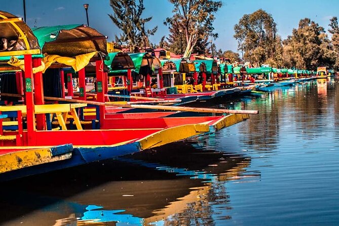 Xochimilco 5 Hour Boat Ride and UNAM University Tour - Discover Mexico Citys Art, History, and Traditions in 5 Hours