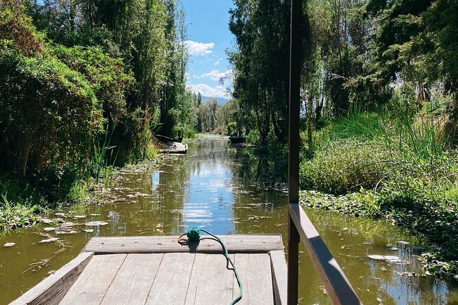 Xochimilco Ancestral Ajolotos Chinampas and Living Tradition - Exploring Xochimilco’s Historic Chinampas and Their Agricultural Heritage