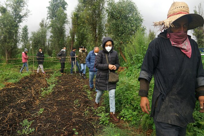 Xochimilco Ancestral Ajolotos Chinampas and Living Tradition - Tasting Traditional Mexican Food Made with Local Ingredients