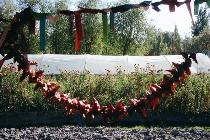 Xochimilco Ancestral Ajolotos Chinampas and Living Tradition - Connecting with Nahuatl Roots and Living Culture