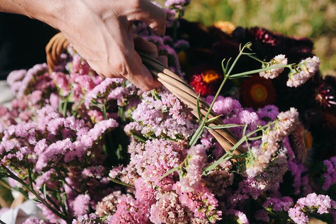 Xochimilco Ancestral Ajolotos Chinampas and Living Tradition - Concluding the Authentic Xochimilco Experience