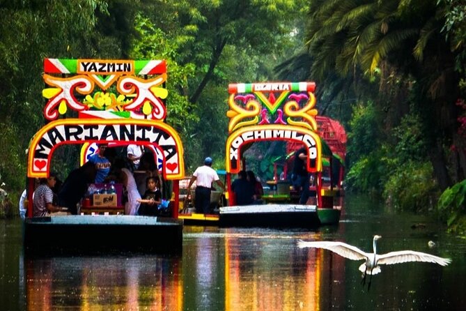 Xochimilco Canals Tour with Trajinera Ride & Local Guide - Convenience of Round-Trip Transportation