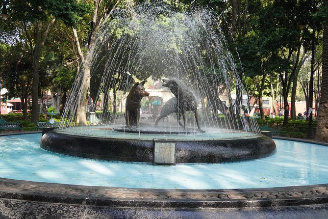 Xochimilco, Coyoacán and Frida Kahlo Museum Private Tour - Visiting the Blue House: Frida Kahlo Museum